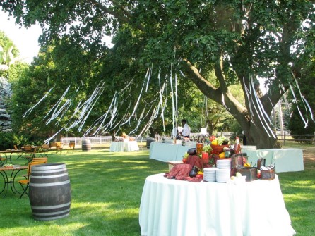 Ribbons added to the apple tree at Bedell Cellars on the North Fork