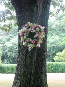 The beauty of a tree for a ceremony